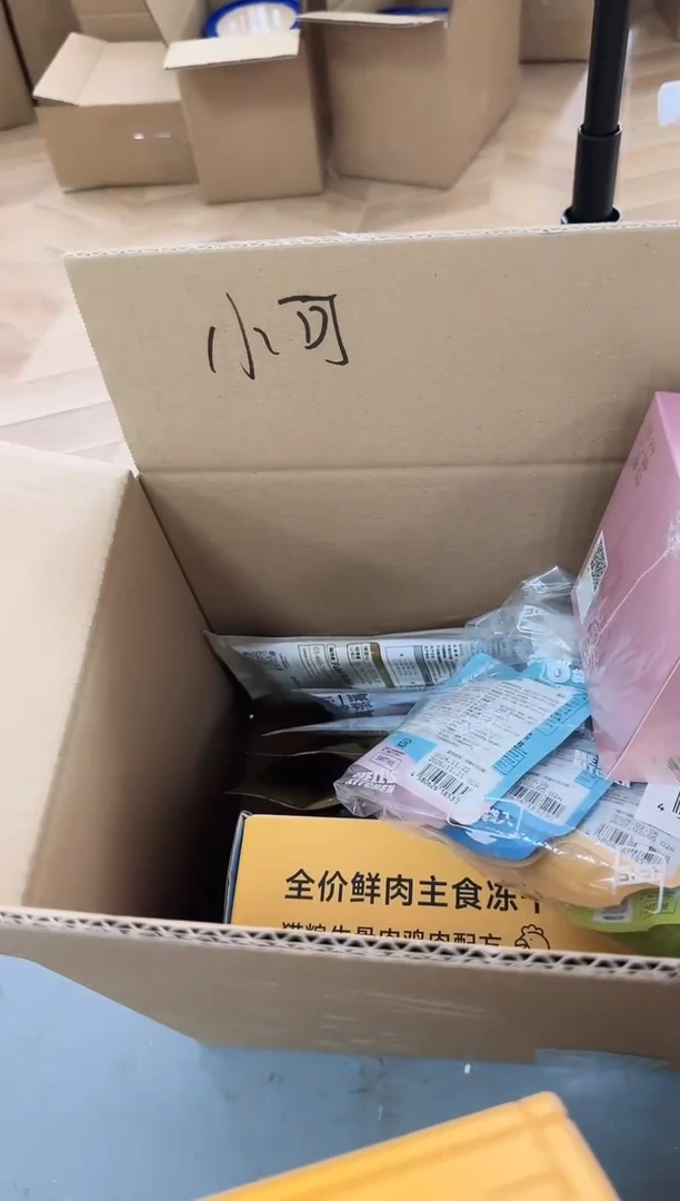 小*229小鬼 定向-小可