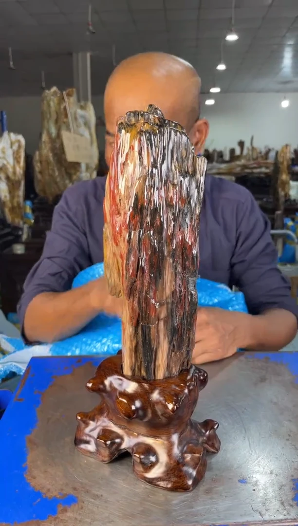 未镶嵌摆件硅化玉8