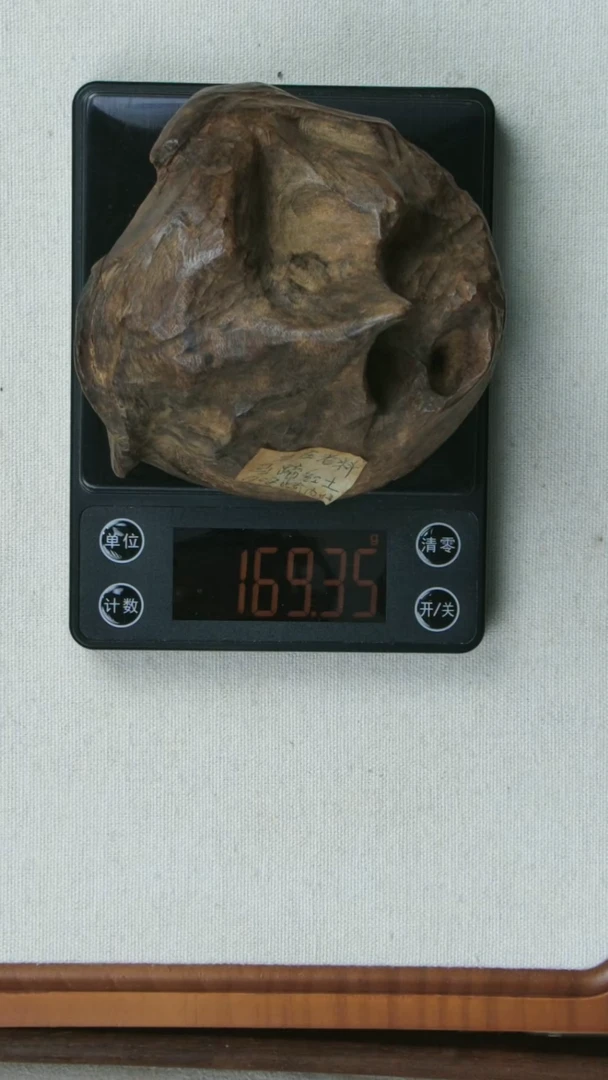 沉香摆件169.35克沉水所谓芽庄