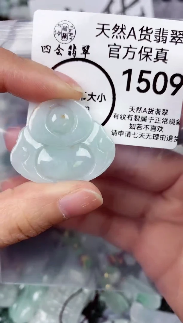 【闪购商品】翡翠颈饰未镶嵌天然A货翡翠1509