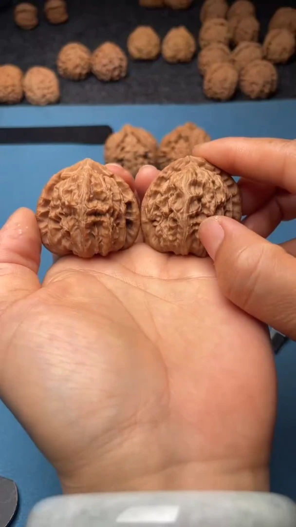 桃核把件w176  白狮子 40尺