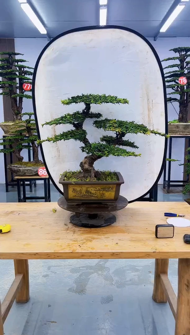 以实际为准000000