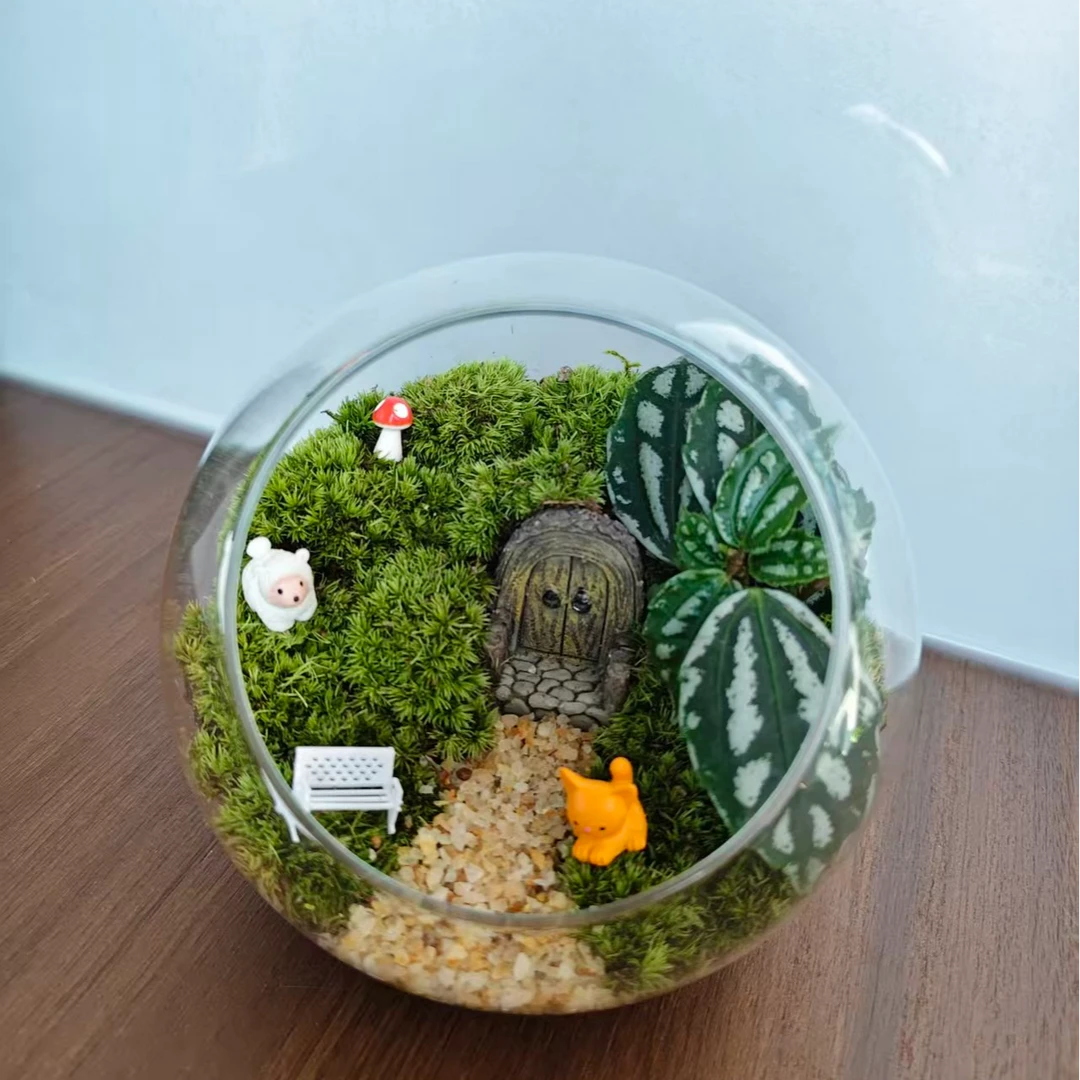 【苔径小筑】苔藓生态微景观玻璃缸懒人好养室内办公桌面摆件
