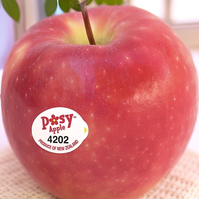 新西兰小花苹果一斤约三颗