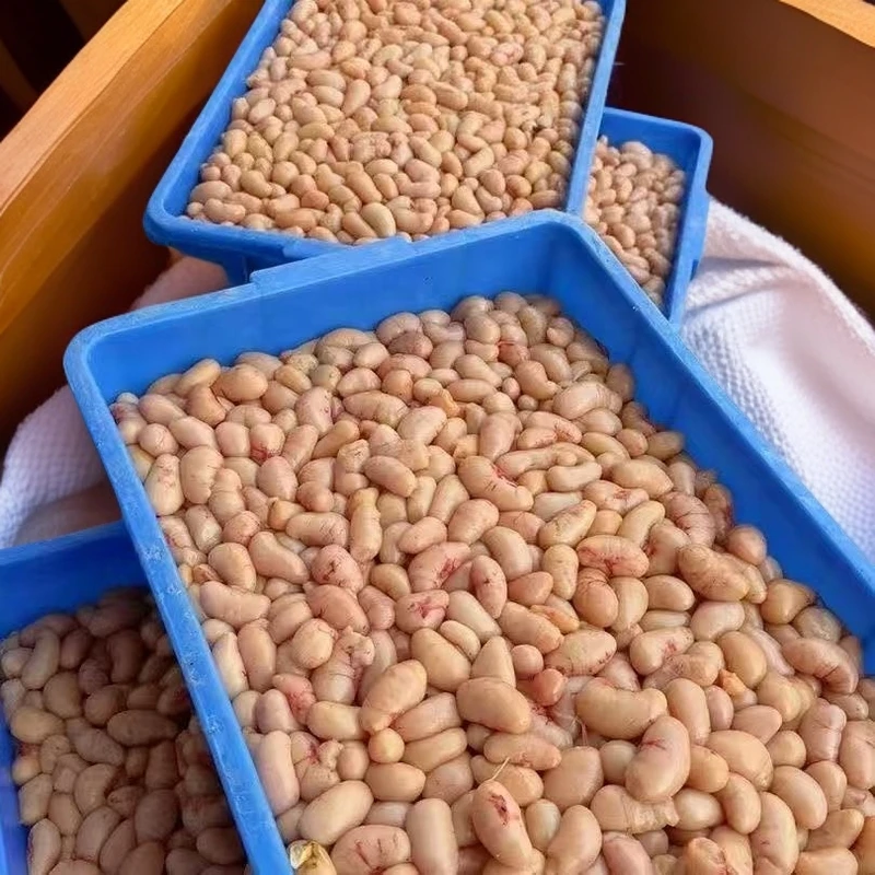 新鲜速冻大中小号鸡腰子公鸡肾公鸡卵子鸡腰子鸡春公鸡蛋包邮