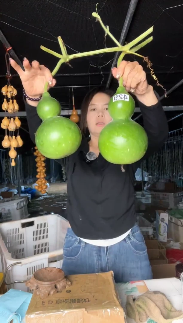 429天然葫芦摆件 一物一拍龙头不保售后
