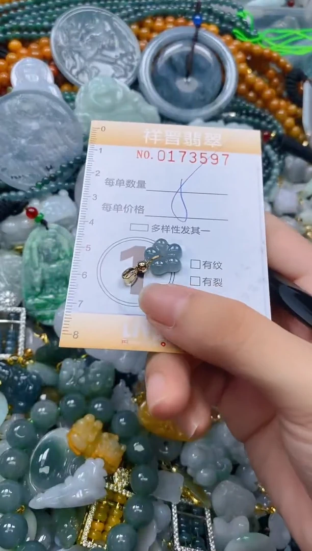 翡翠未镶嵌颈饰闪购0173597多样性发其一