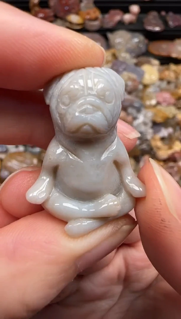 硅化珊瑚（珊瑚玉）未镶嵌颈饰704