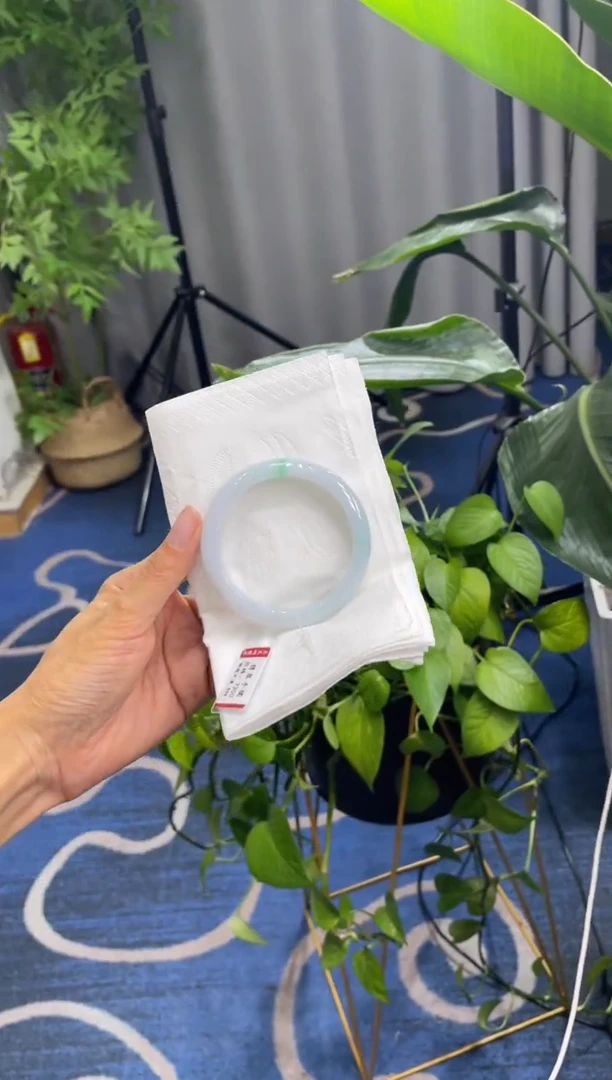 未镶嵌手镯翡翠8659****