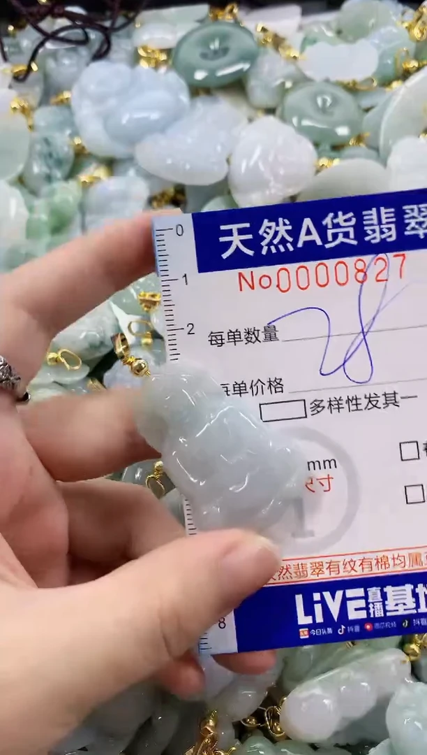 颈饰未镶嵌翡翠天然A货翡翠