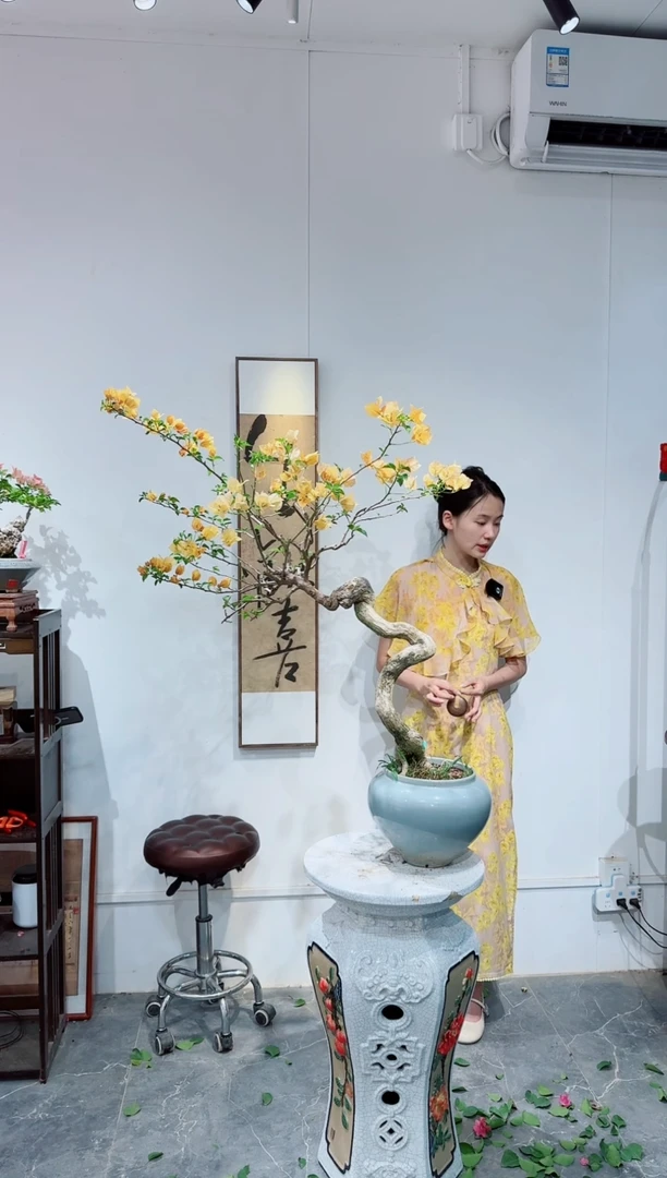 无花朵幽***香三角梅三角梅三角梅