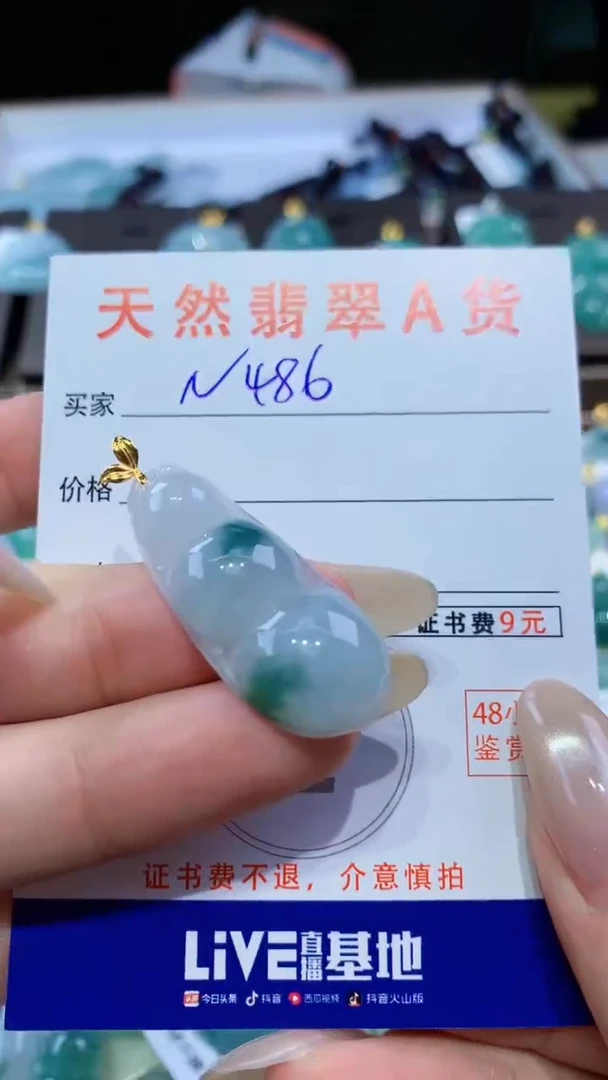 颈饰18K金镶嵌翡翠天然翡翠A货挂件