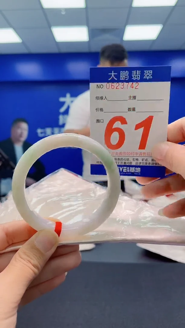 未镶嵌手镯翡翠AAAAAAAAA