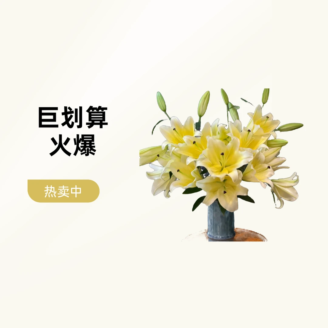 【明日达】木门香水百合  生活鲜花家养花材明日达今天下单明天就到两单顺丰包邮基地直发现采现发顺丰送货上门