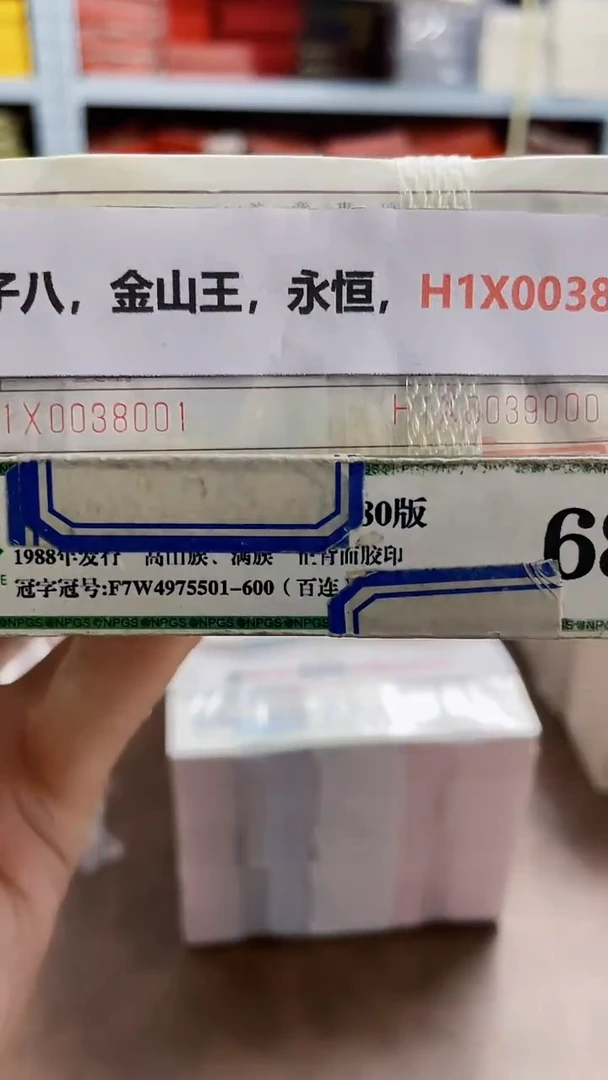 M 01，倒影王，狮子八，金山王，永恒，H1X0038001