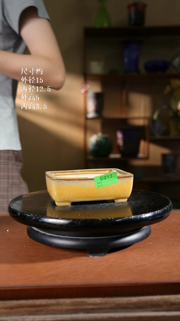 013     6寸长方盆