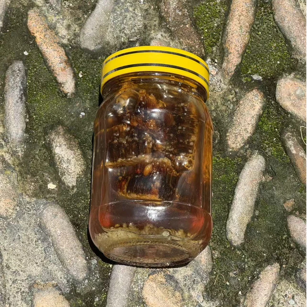 高山 农家 蜂巢蜜 老巢蜜 1