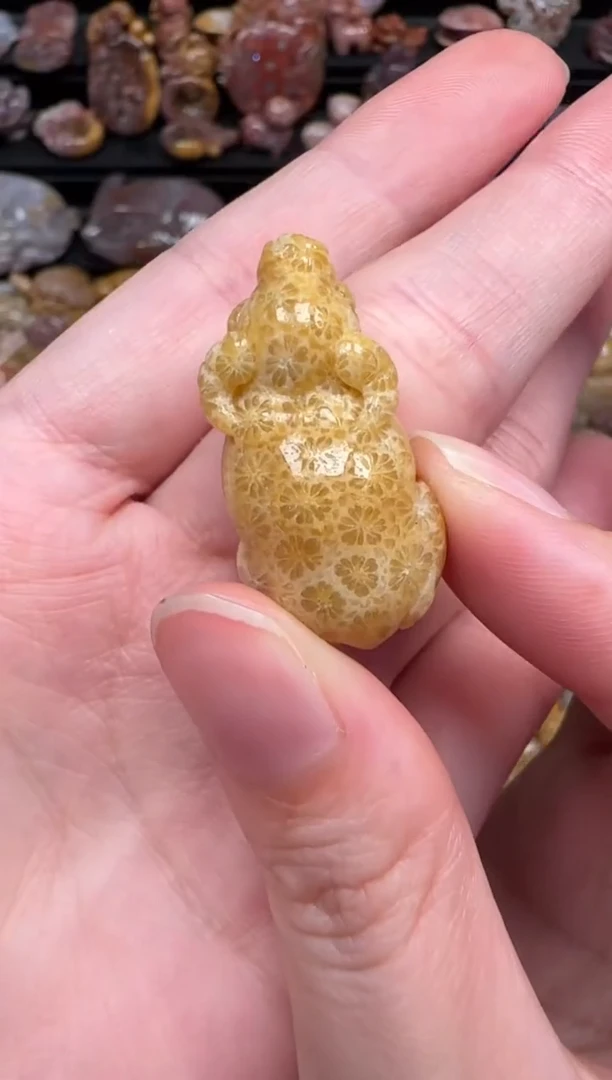 颈饰未镶嵌硅化珊瑚（珊瑚玉）151