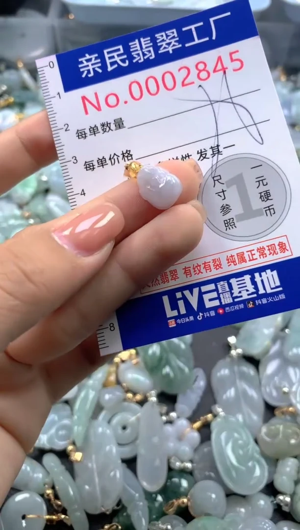 颈饰未镶嵌翡翠2845