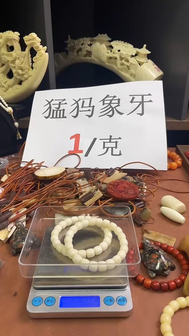 猛犸独独纯肉10*9直切单圈