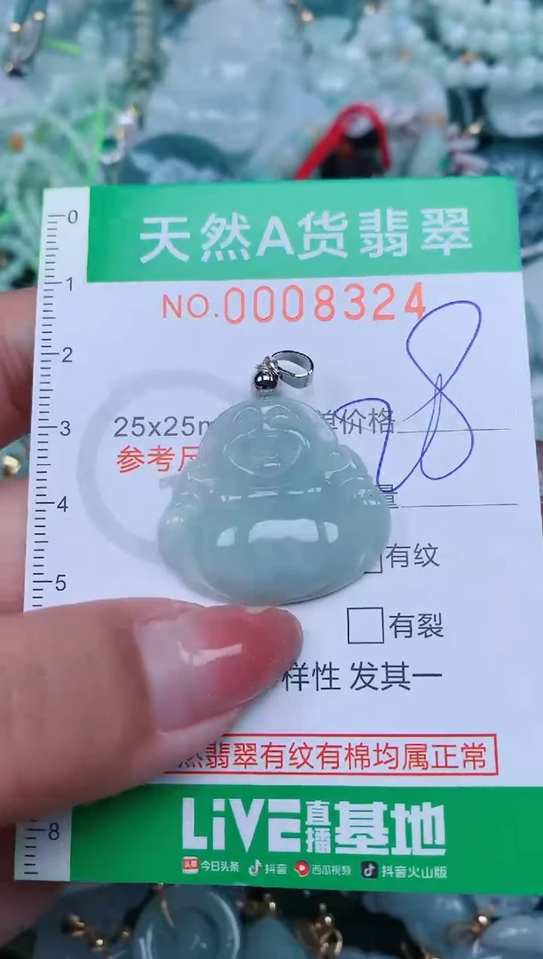 【闪购商品】翡翠颈饰未镶嵌.0008324