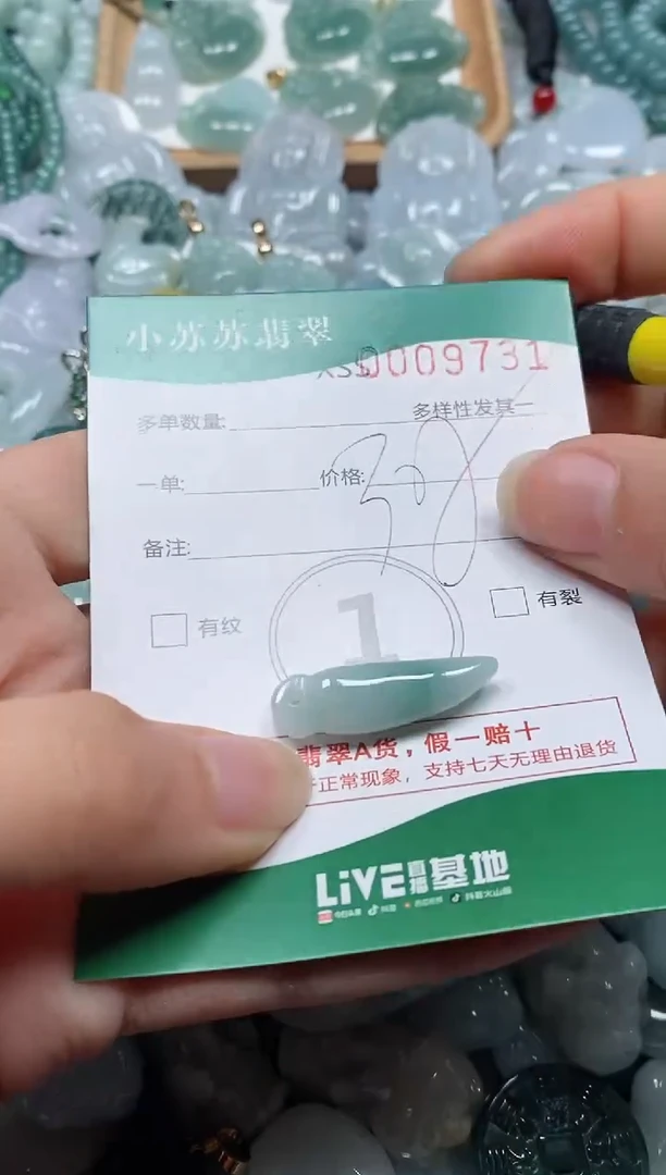 【闪购商品】翡翠颈饰未镶嵌闪购商品0009731