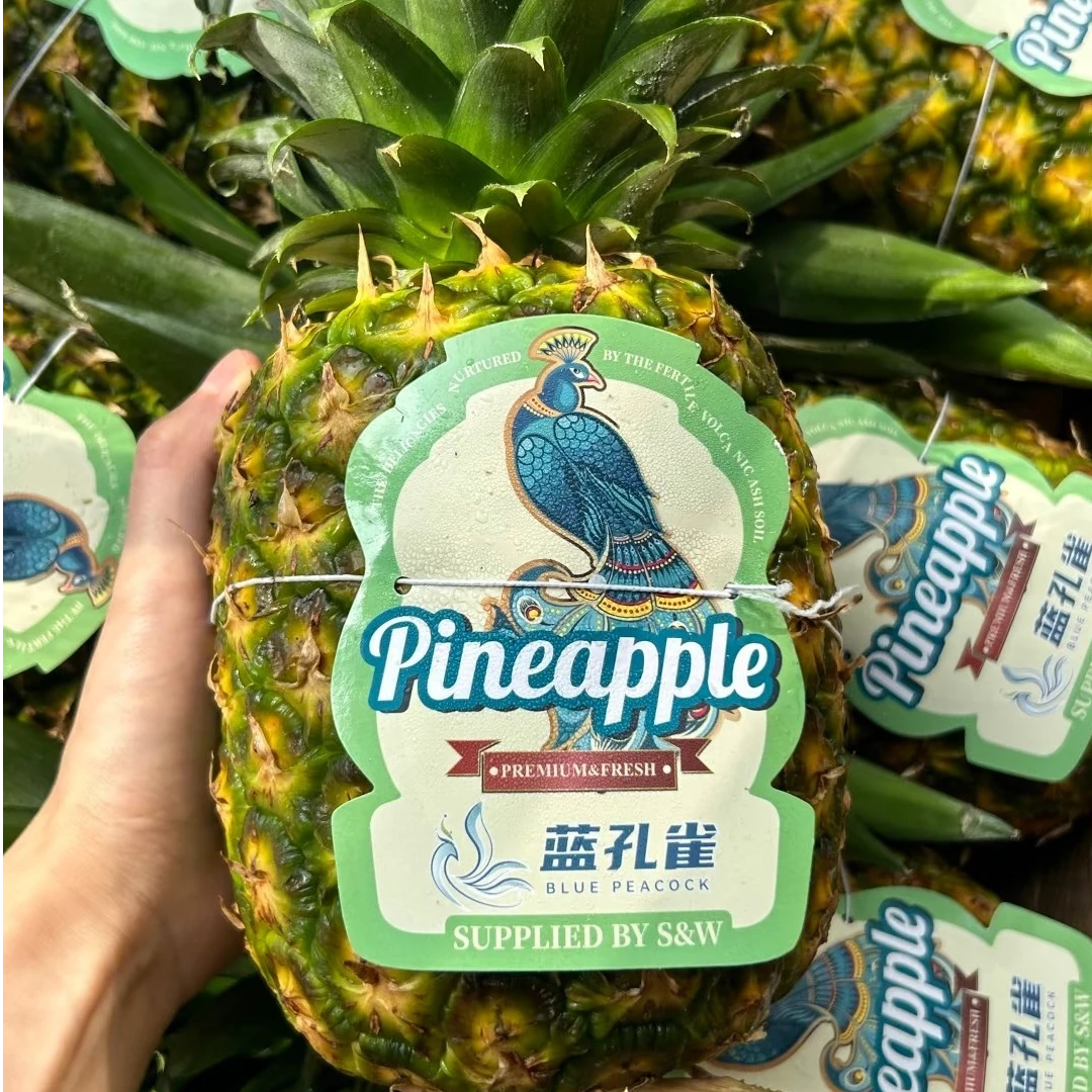 凤梨菠萝蓝孔雀凤梨-1个 约2.5斤