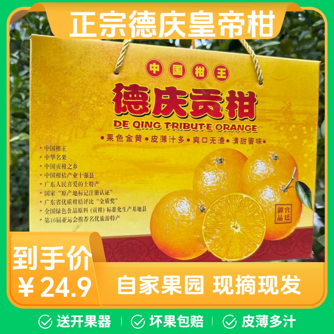 广东德庆贡柑正宗德庆皇帝柑新鲜采摘现发精选中大果礼盒装