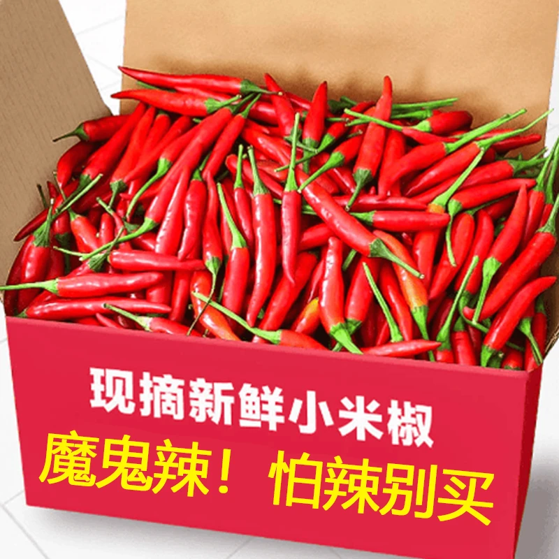 【农家精选】特辣新鲜现摘小米辣指朝天椒农家自种小米椒泡椒剁椒