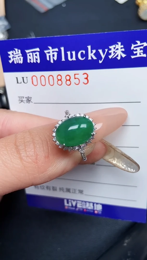 【闪购商品】翡翠颈饰银S925镶嵌8853