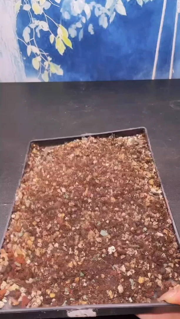 【闪购商品】多肉专用土量拍一单单独包邮