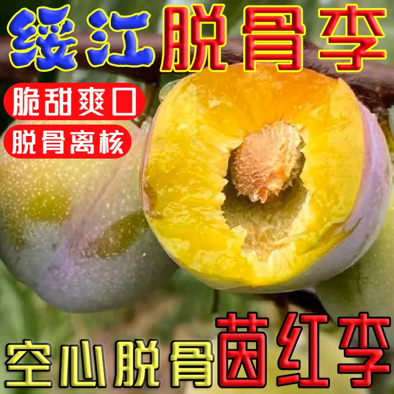 半边红脱骨脆李茵红李应季新鲜水果脱骨离核空心脆甜爽口产地直发