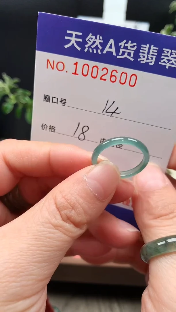 未镶嵌戒指翡翠14#