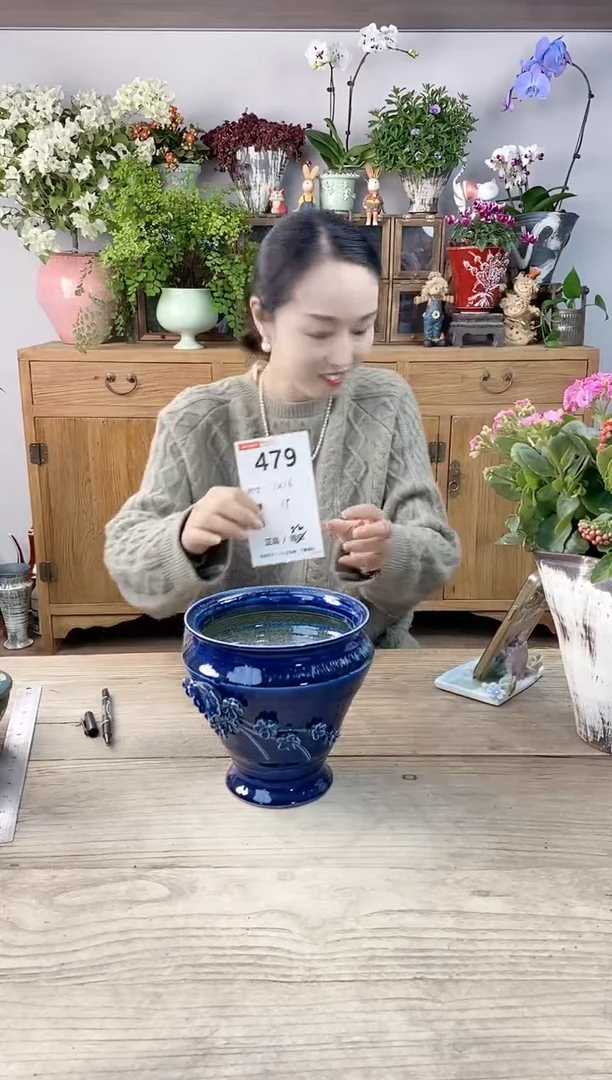 小玩子花盆直播编号479