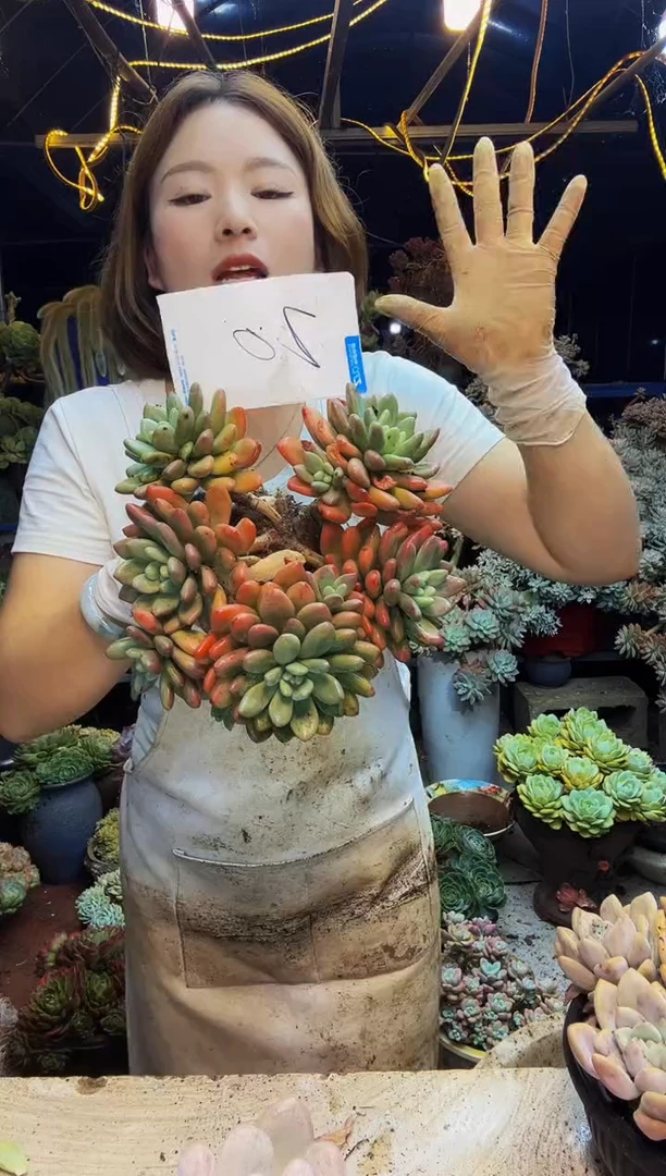 老桩香水脱土包邮