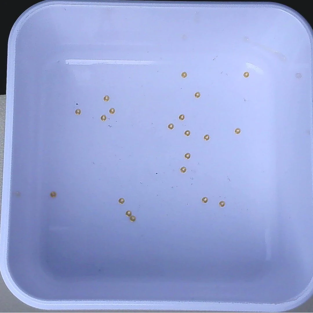 黄金足金小金 豆2