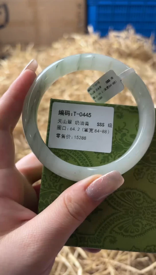 未镶嵌手镯石英质玉T-0445