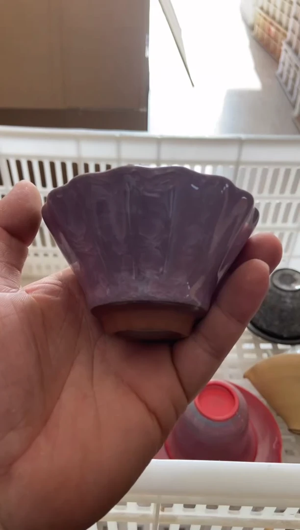 无运费险有瑕疵的摄影的产品有使用过的痕迹有点脏介意勿拍