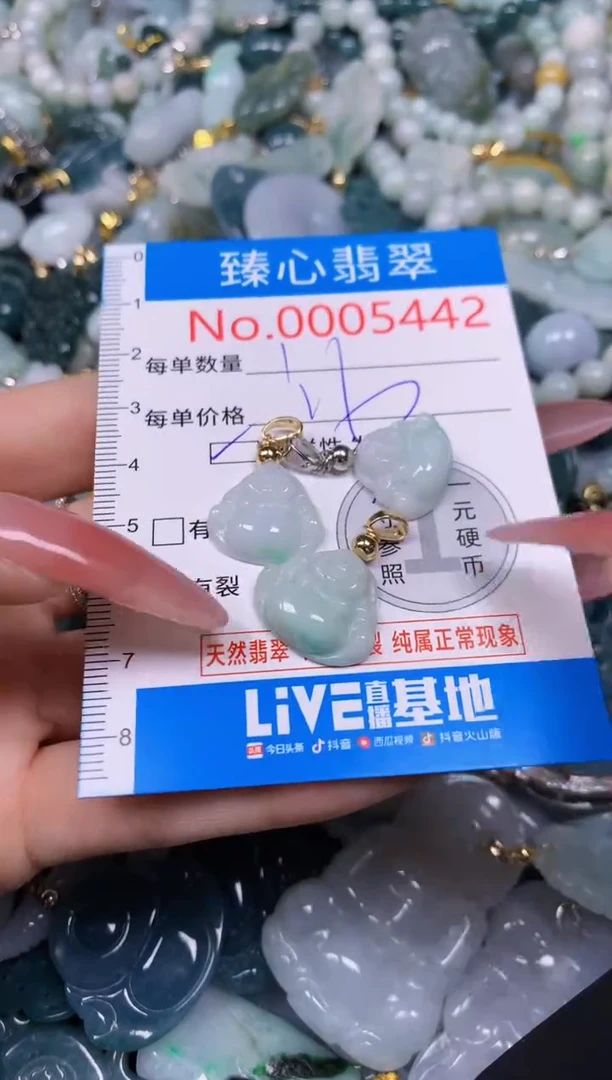 【闪购商品】翡翠颈饰未镶嵌含绳0005442