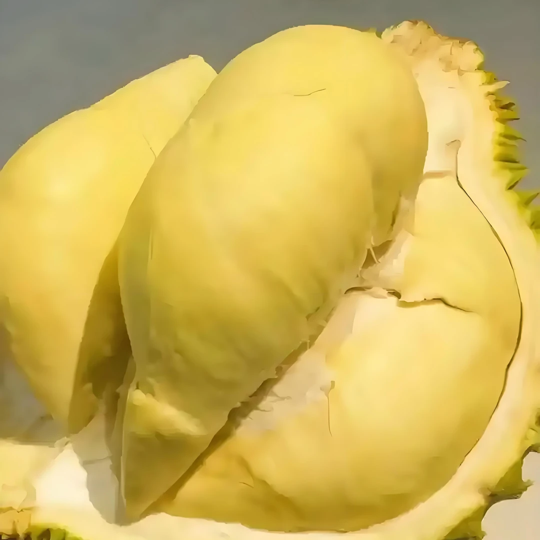 【南宁同城小时达】泰国鲜榴莲2斤（纯果肉） 核小湿包不售后 介意慎拍金枕泰国