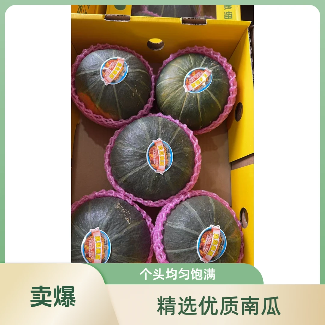 【高兴优选】 贝贝南瓜（5粒）7斤±2【顺丰包邮次日达】