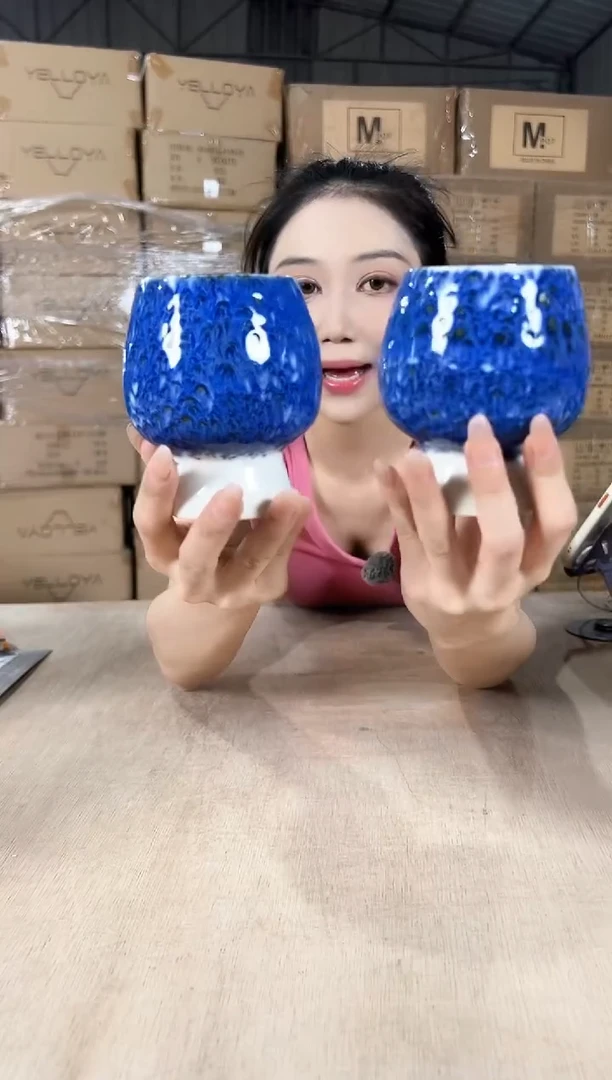 小蘑菇极蓝8x11两个