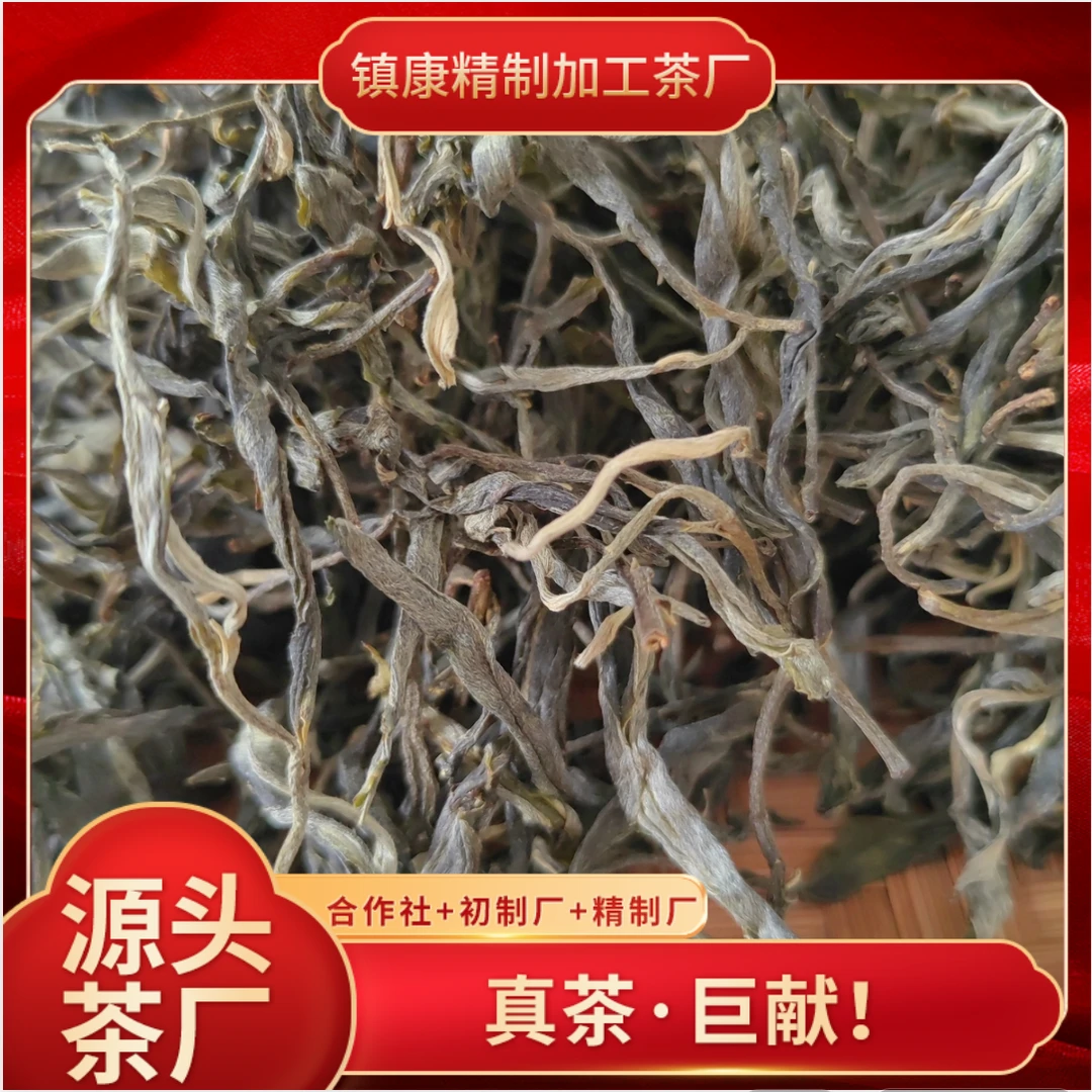 【坡脚老寨-拍4单发500克】2023正春/坡脚古树/云南名山普洱生茶