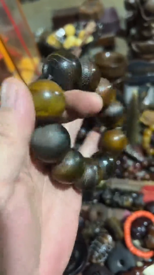 紫砂紫砂紫砂紫砂紫砂紫砂
