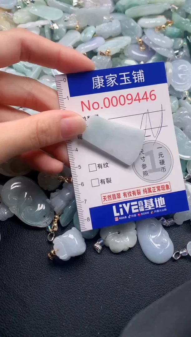 颈饰未镶嵌翡翠9446