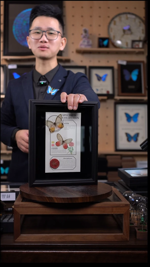 玫瑰绡眼+黄晶眼蝶设计新款