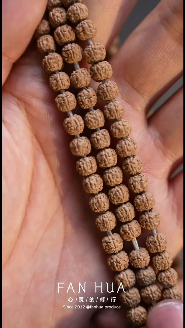 金刚菩提手串小奶龙108 6mm