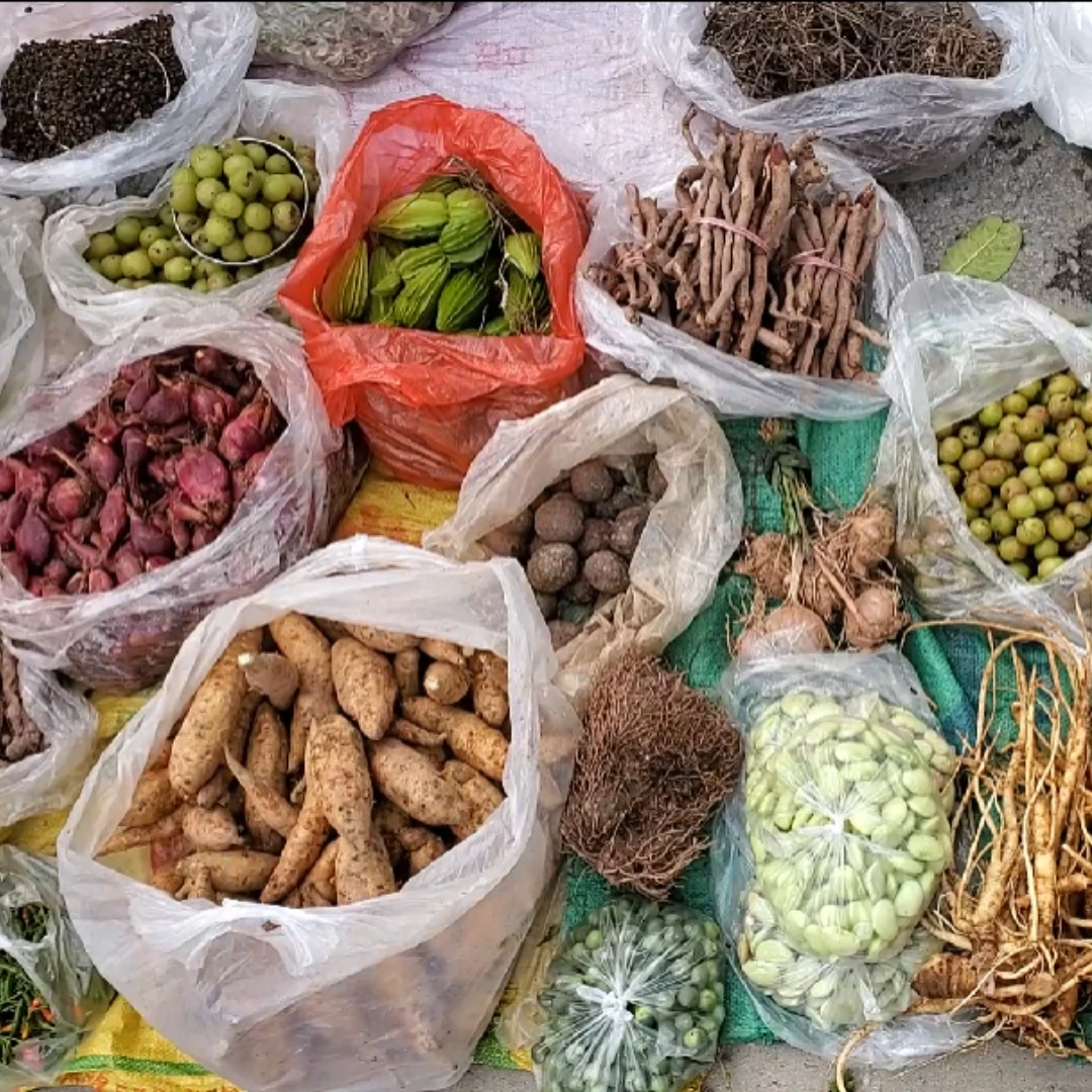 云南山货生鲜蔬菜土货好货拍