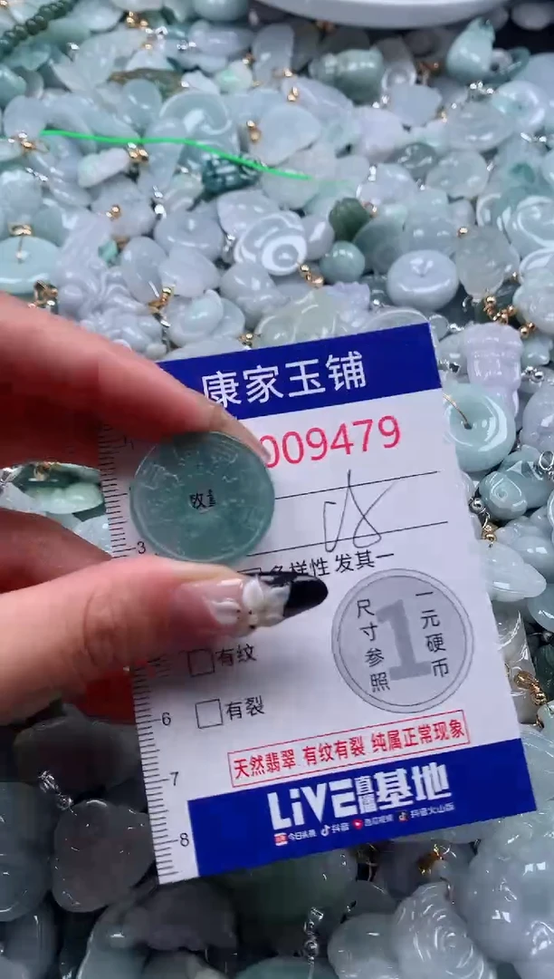 颈饰未镶嵌翡翠9479