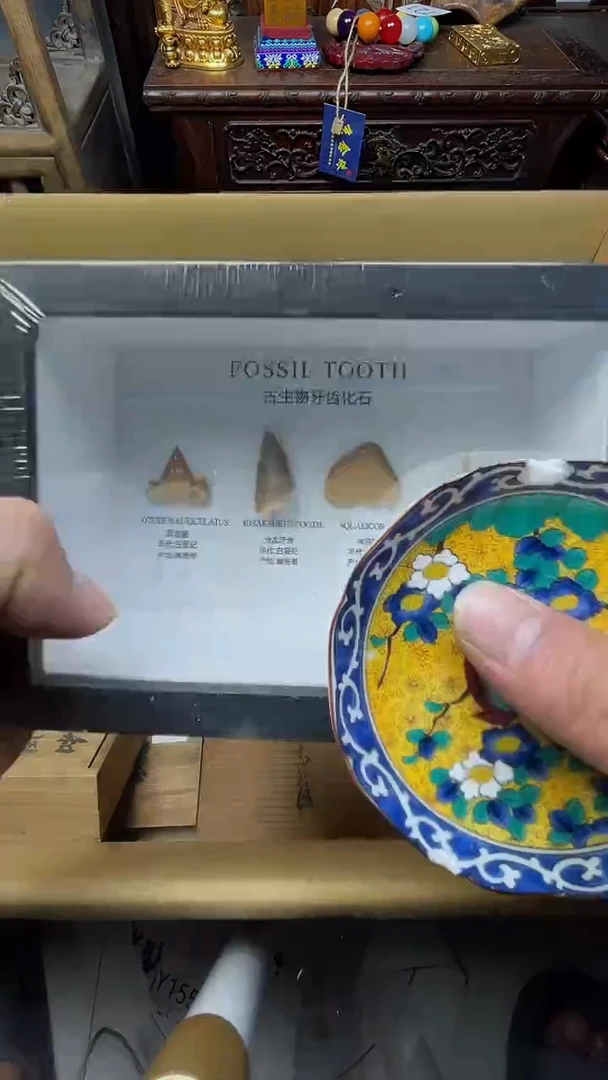 瓷片瓷器瓷器瓷器瓷器